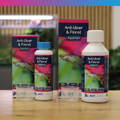 NT Labs Aquarium Anti Ulcer & Fin Rot 250ml