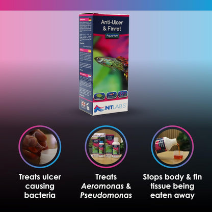 NT Labs Aquarium Anti Ulcer & Fin Rot 250ml