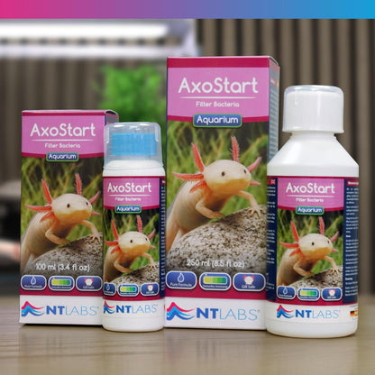 NT Labs Axostart Filter Bacteria 250ml