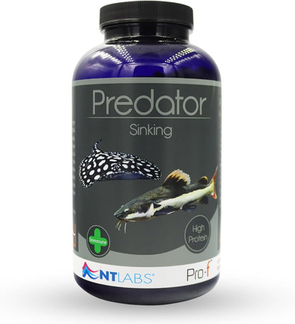 NT Labs Pro F Predator Sinking Pellets 450g