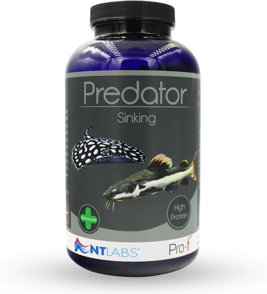 NT Labs Pro F Predator Sinking Pellets 450g