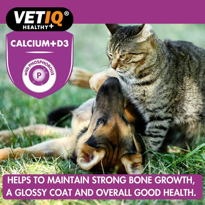VetIQ Kalsium Plus 60 Tablets