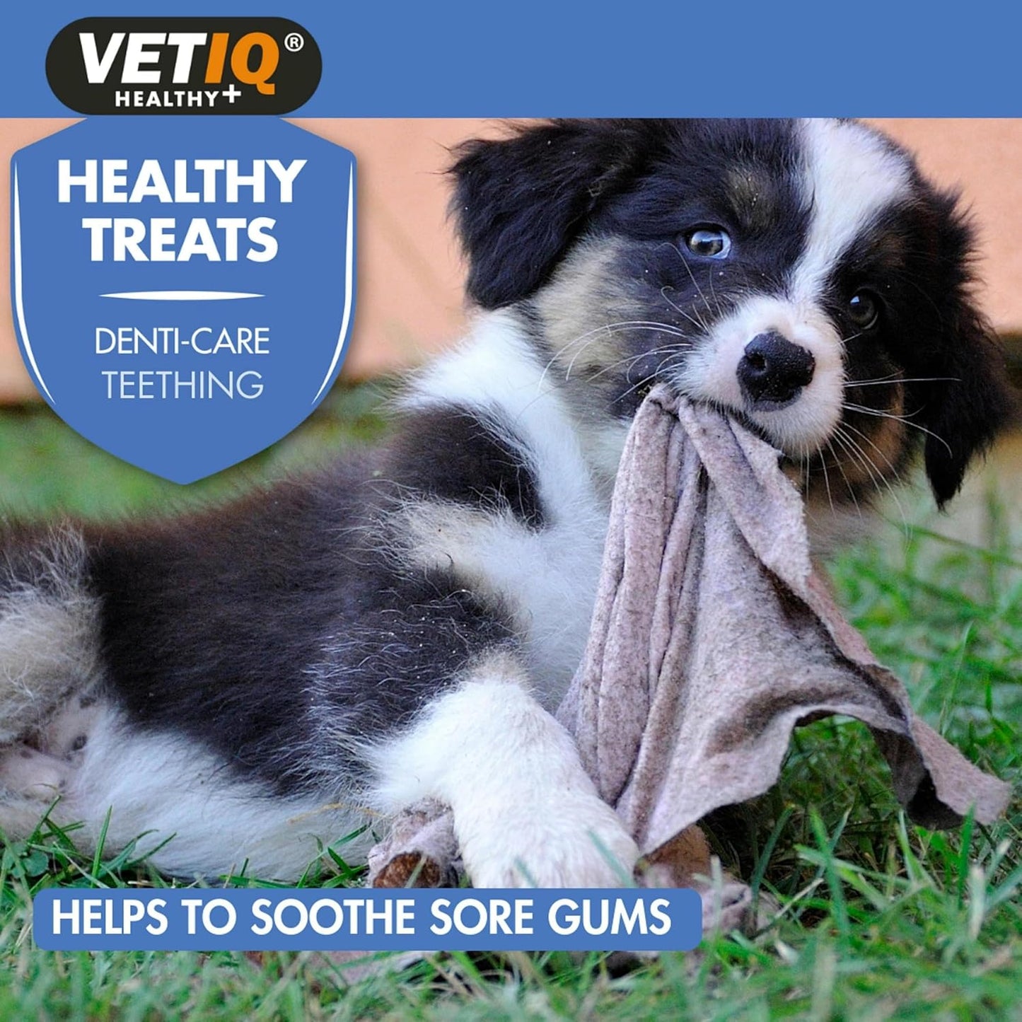 VetIQ Teething Treats For Puppies 50g
