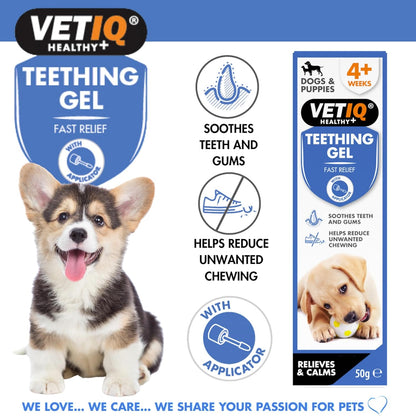 VetIQ Teething Gel 50g