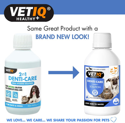 VetIQ 2in1 Denti Care Oral Hygiene Solution 250ml