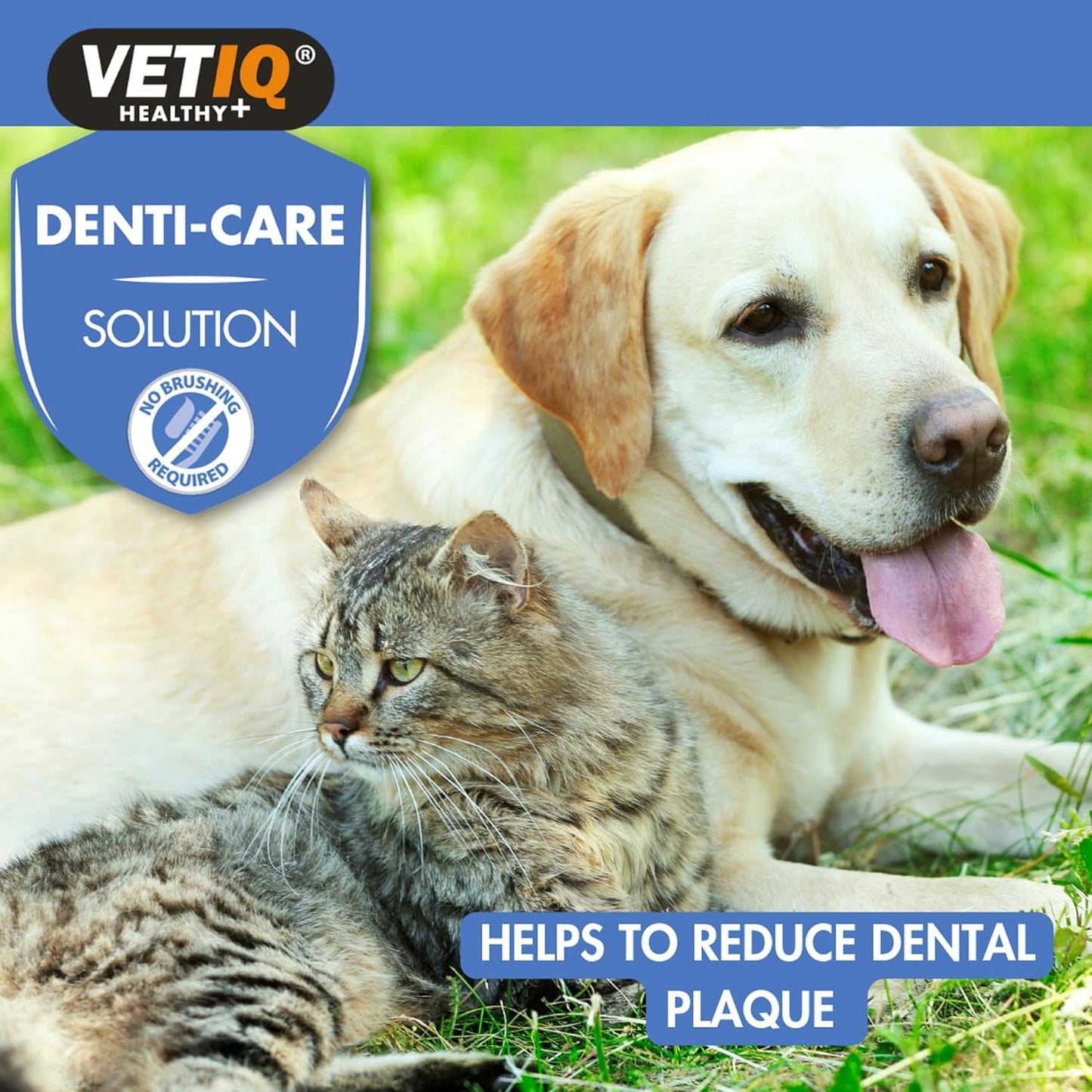 VetIQ 2in1 Denti Care Oral Hygiene Solution 250ml