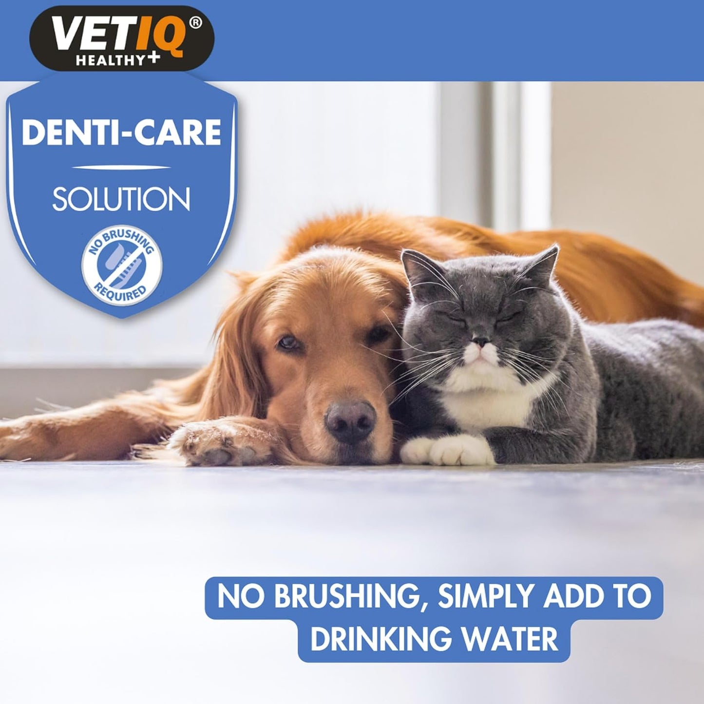 VetIQ 2in1 Denti Care Oral Hygiene Solution 250ml