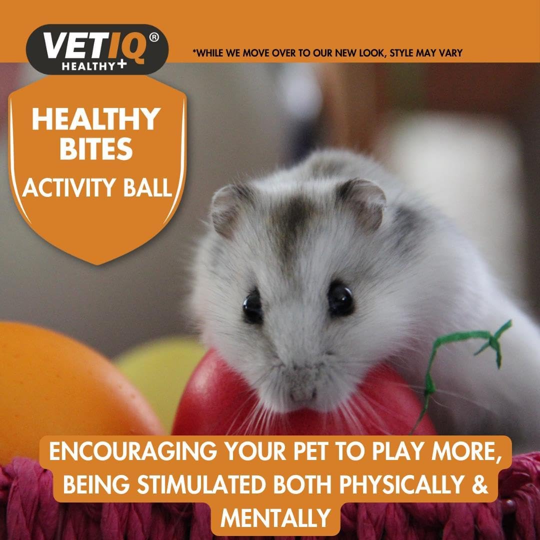 VetIQ Healthy Bites Activity Ball For Small Animals