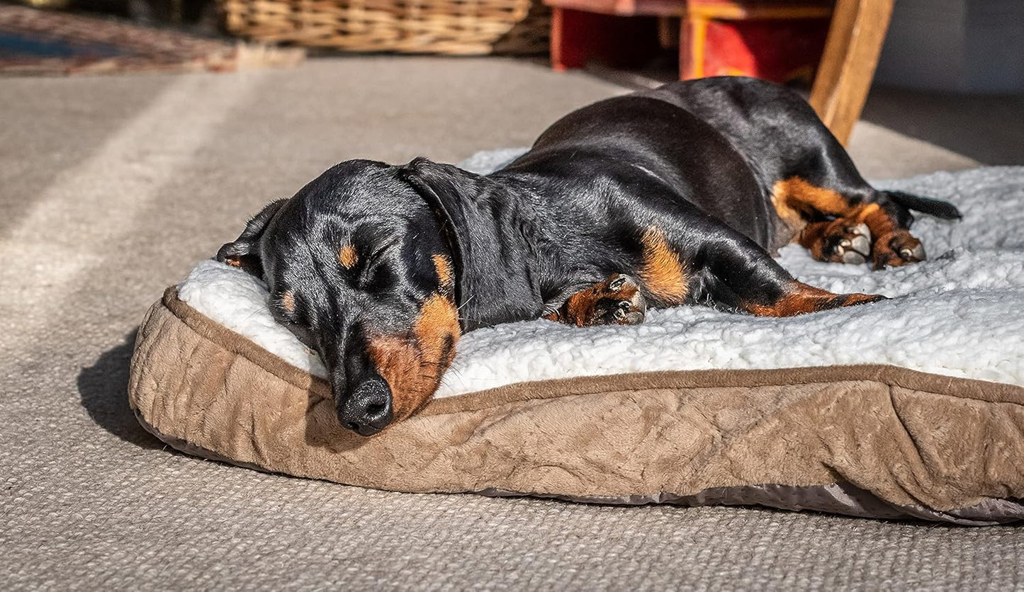 Mikki Calming Cushion Bed Brown Small