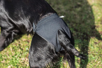Mikki No Mess No Stress Hygeine Pants For Small Dogs