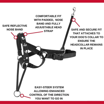 Mikki Walk Ease Headcollar Large