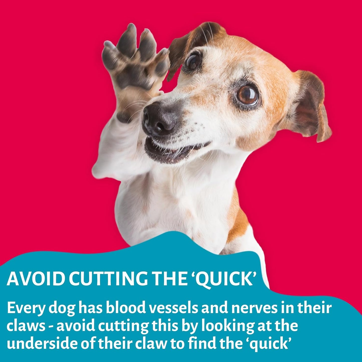 Mikki Small Pet Scissor Claw Clipper