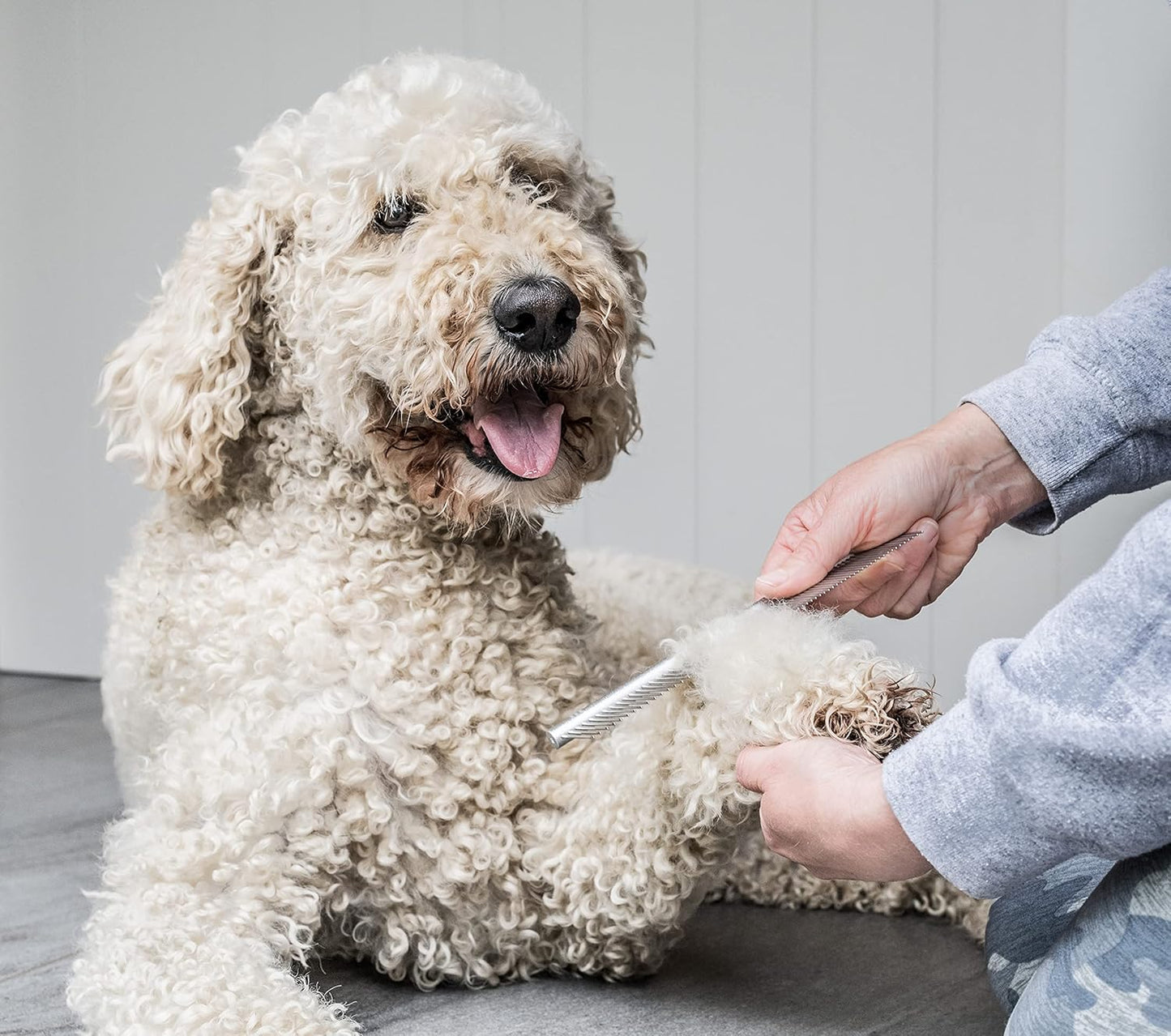 Mikki Doodle Grooming Kit
