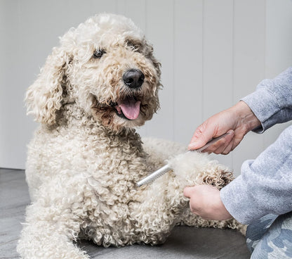 Mikki Doodle Grooming Kit