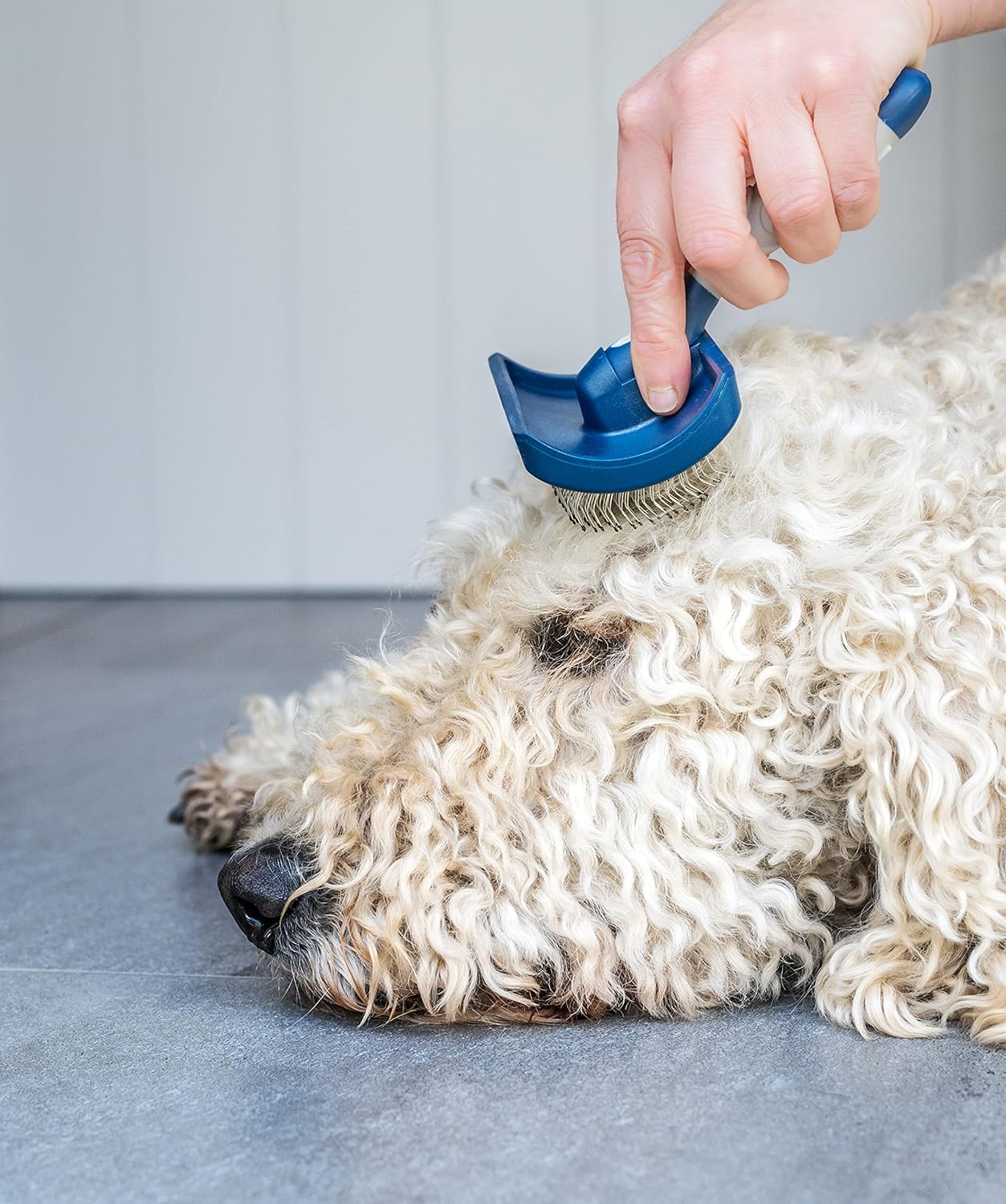 Mikki Doodle Grooming Kit