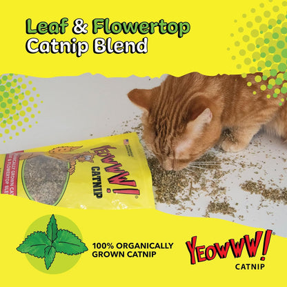 Yeowww! Catnip Bag 1oz
