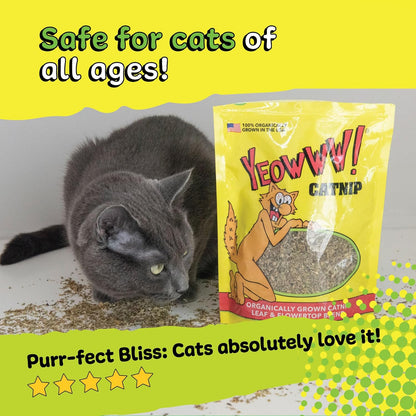 Yeowww! Catnip Bag 1oz
