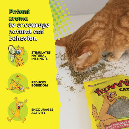 Yeowww! Catnip Bag 1oz