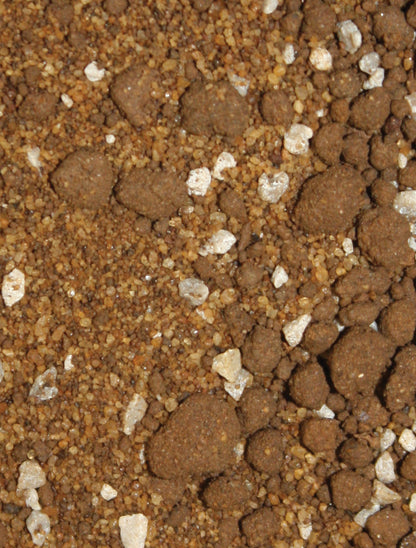 Komodo Tortoise Terrain 10ltr