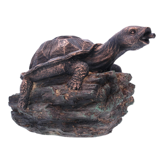 Bermuda Turtle Spitter
