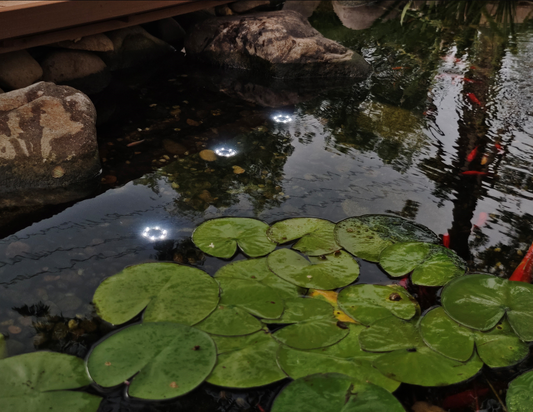 Bermuda Solar 3 Led Light Set