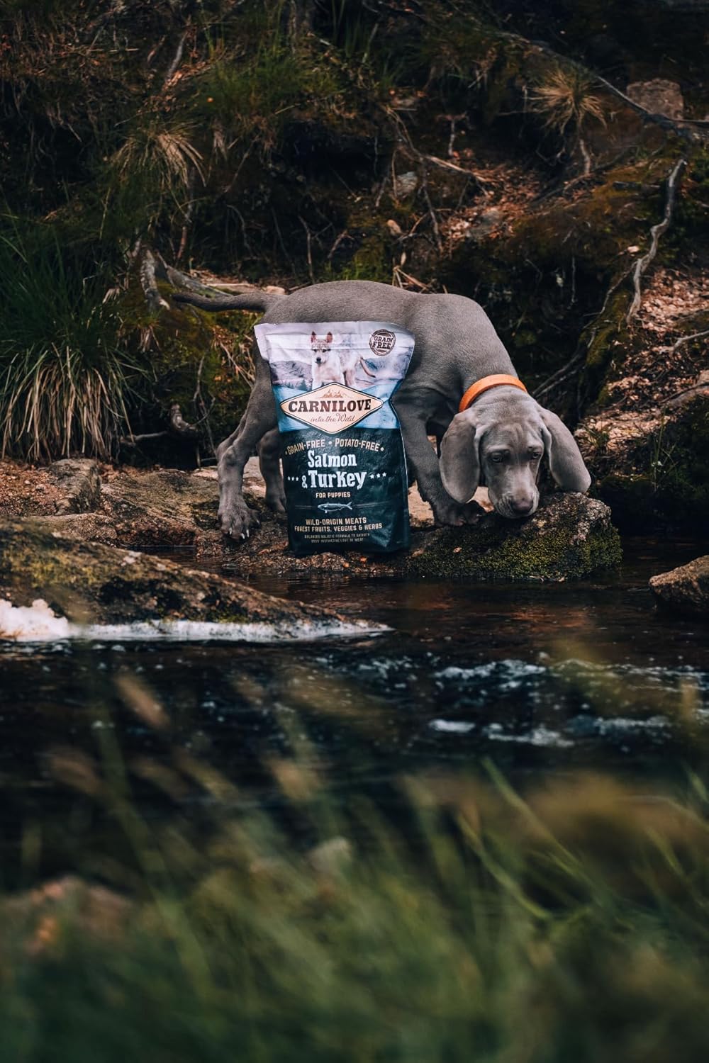 Carnilove Salmon & Turkey Puppy Food 1.5kg