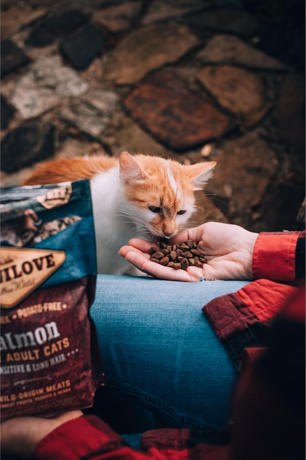 Carnilove Salmon Adult Cat Food 2kg