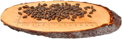 Carnilove Salmon Adult Salmon Cat Food 400g