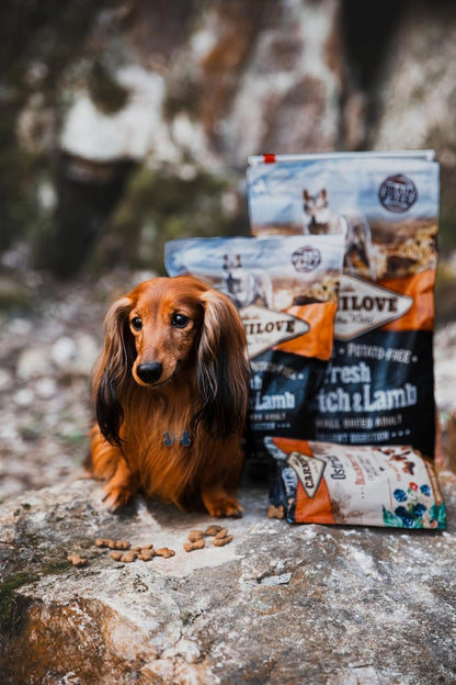 Carnilove Fresh Ostrich & Lamb Adult Small Breed Dog Food 1.5kg