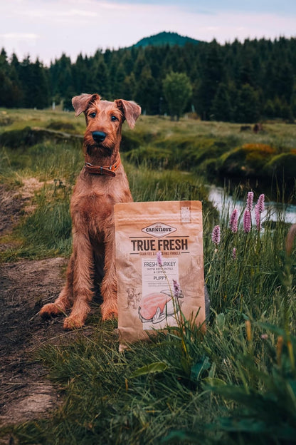 Carnilove True Fresh Adult Turkey Dog Food 1.4kg