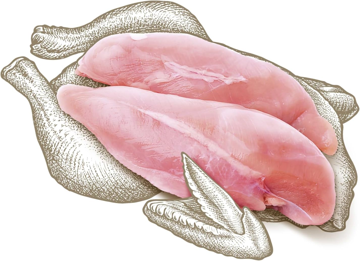 Carnilove True Fresh Adult Turkey Dog Food 1.4kg