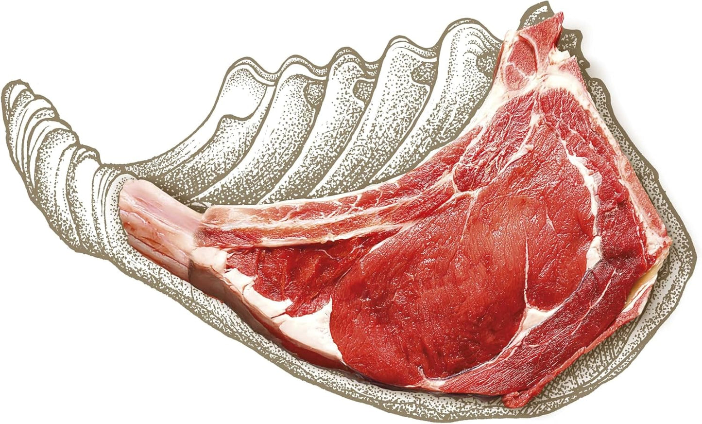 Carnilove True Fresh Beef Adult Dog Food 1.4kg