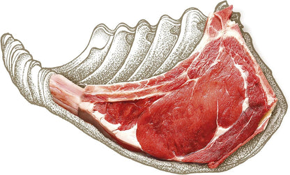 Carnilove True Fresh Beef Adult Dog Food 1.4kg