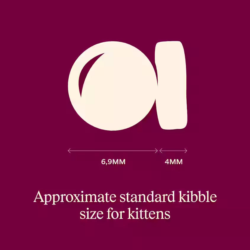Carnilove Salmon & Turkey For Kittens 400g