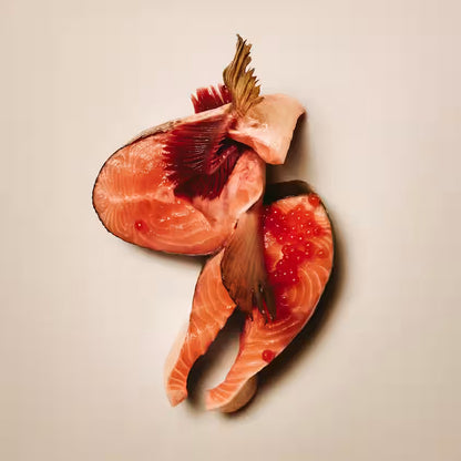Carnilove Turkey & Salmon Grain Free Puppy 400g