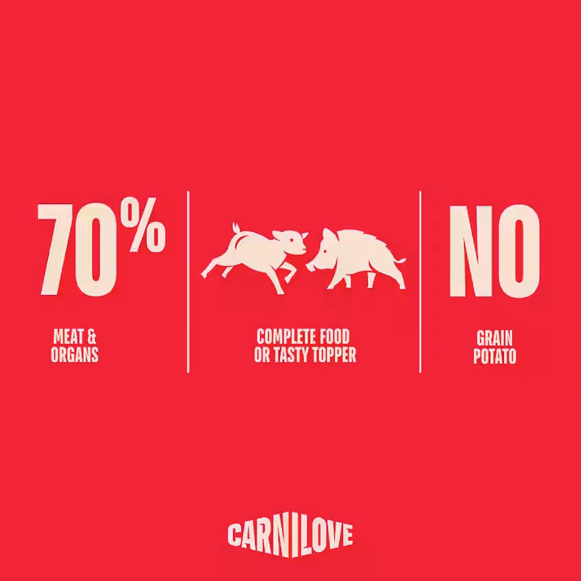 Carnilove Lamb & wild boar grain Free Dog Tins 400g