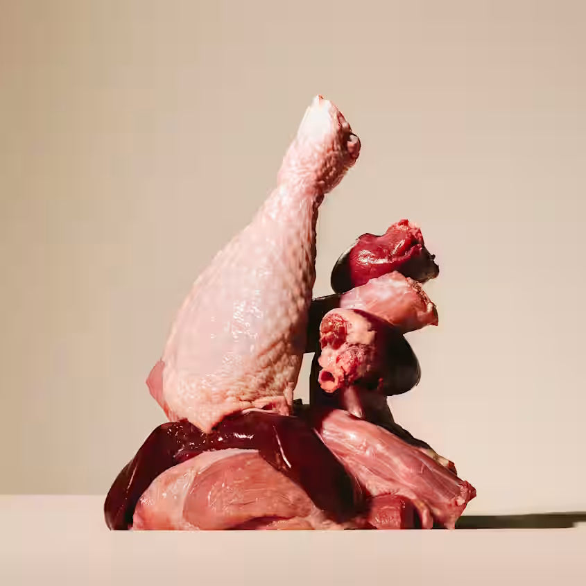 Carnilove Dog Pouch Turkey, Venison & Strawberry Leaves 300g