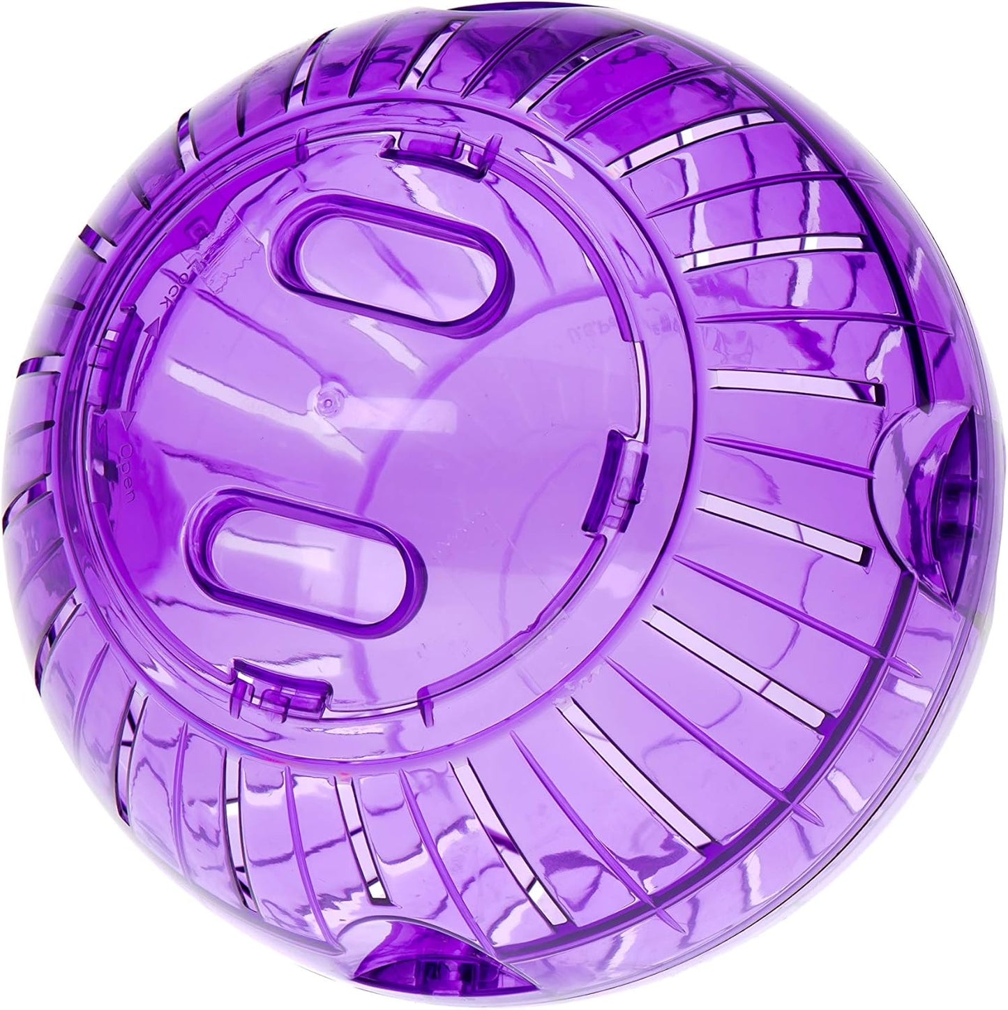 Kaytee Rainbow Run About Ball 7"