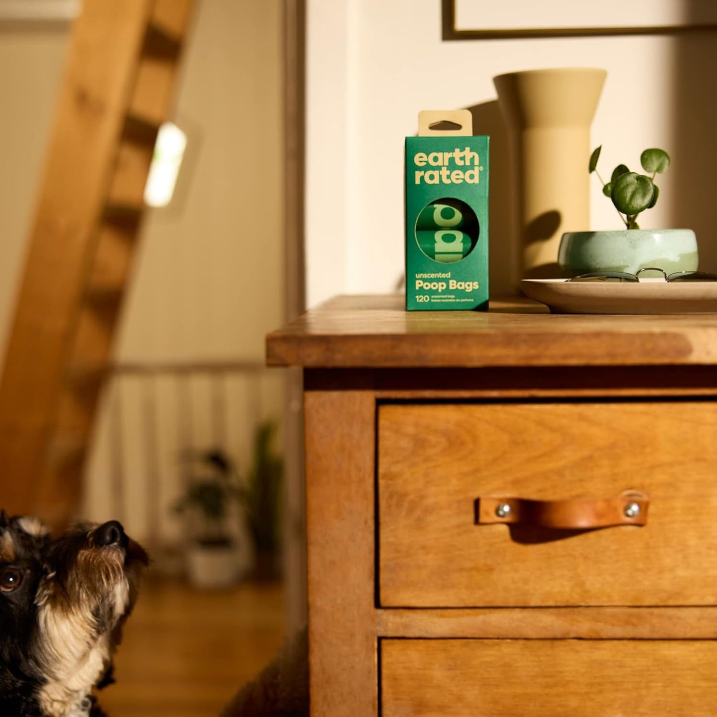 Earth Rated Unscented Poo Bags 120 Pack (8x15 Pack)