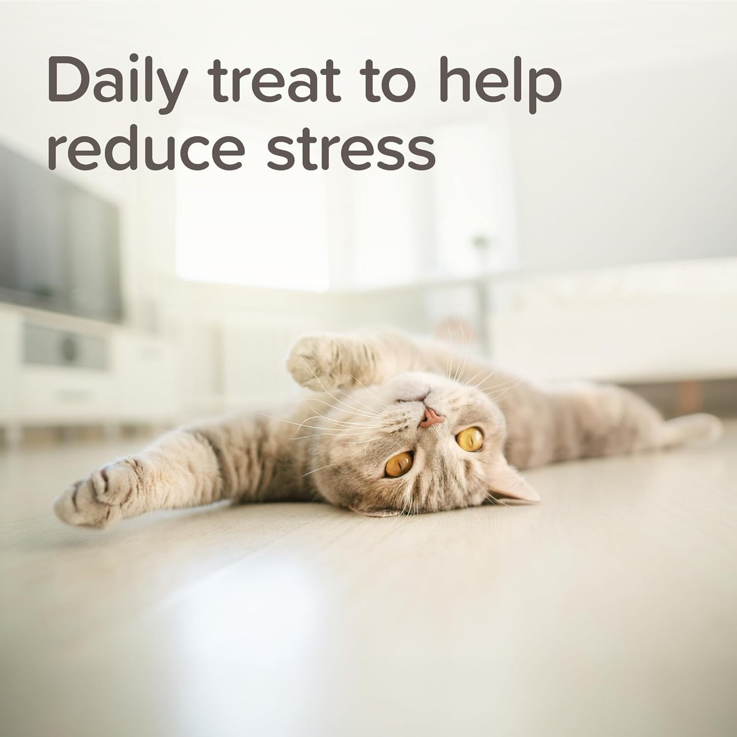 Beaphar Calming Cat Treats 35g