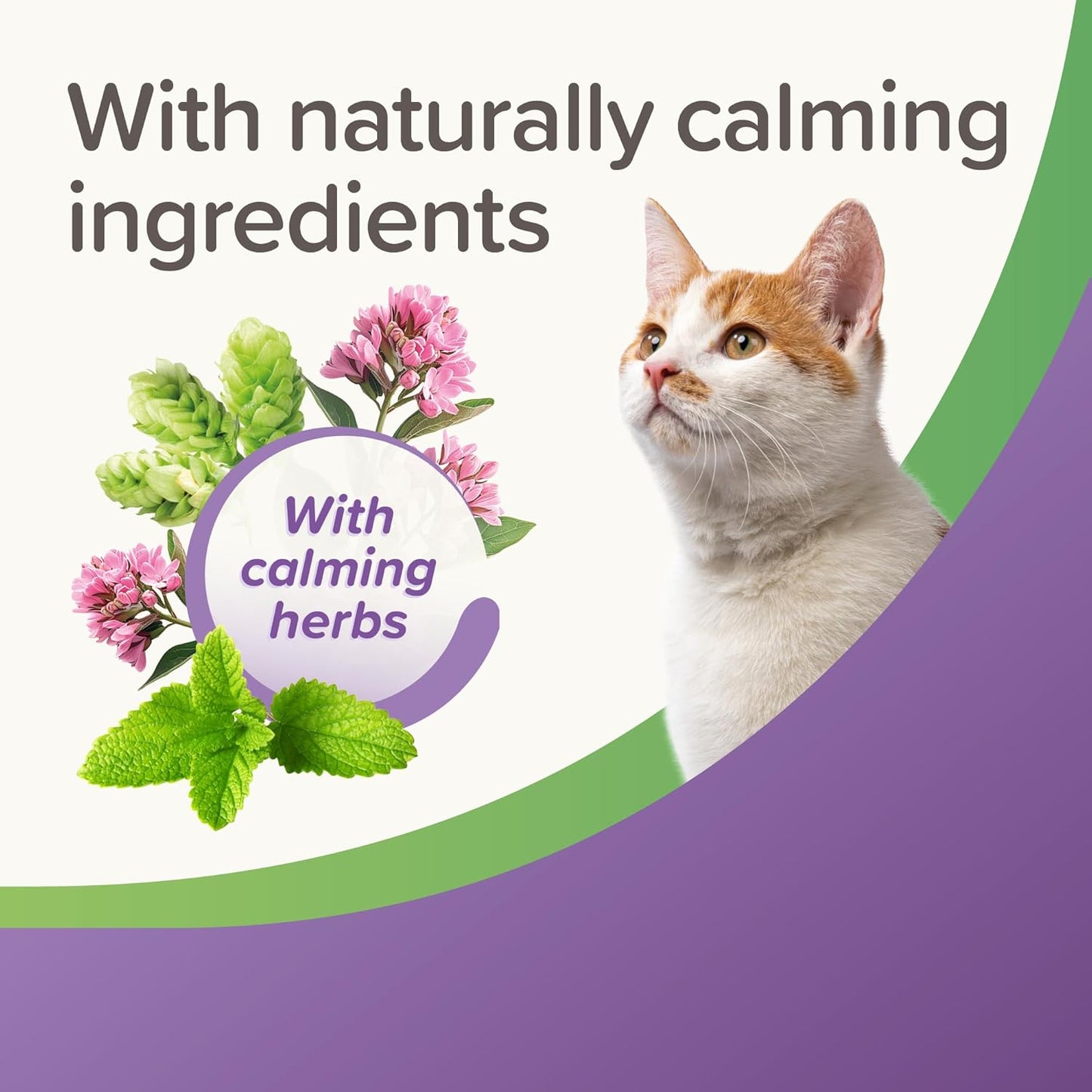 Beaphar Calming Cat Treats 35g