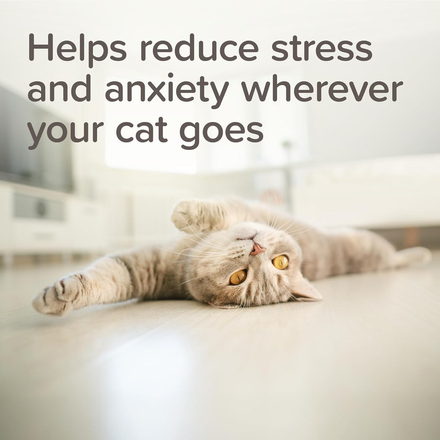 Beaphar Cat Calming Collar