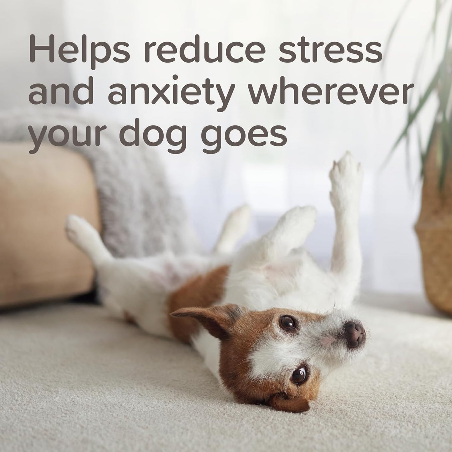 Beaphar Stressless Herbal Calming Collar For Dogs & Puppies 6 Weeks Cover