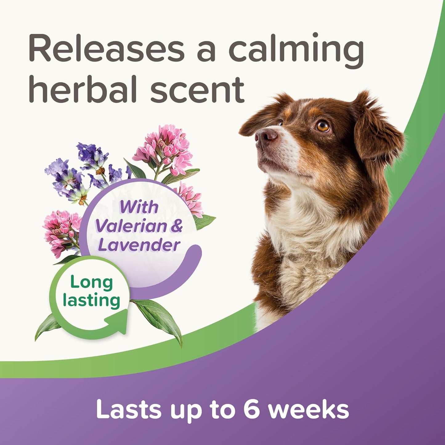 Beaphar Stressless Herbal Calming Collar For Dogs & Puppies 6 Weeks Cover