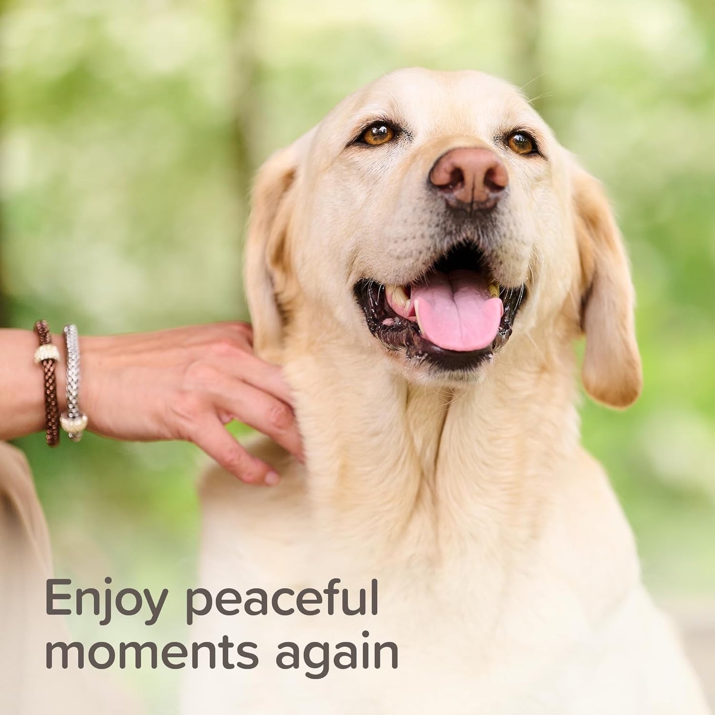 Beaphar Stressless Herbal Calming Collar For Dogs & Puppies 6 Weeks Cover