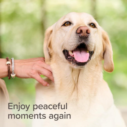 Beaphar Stressless Herbal Calming Collar For Dogs & Puppies 6 Weeks Cover