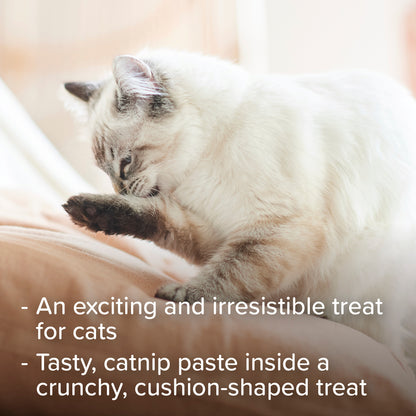Beaphar Catnip-bits 35g Cat Treats
