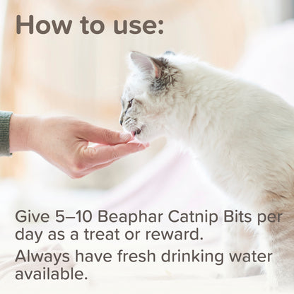 Beaphar Catnip-bits 35g Cat Treats