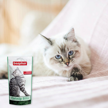 Beaphar Catnip-bits 35g Cat Treats