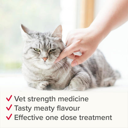 Beaphar WORMclear Cat Worming Tablets 2 Pack All-in-One Roundworm & Tapeworm Treatment
